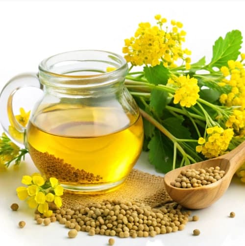 तोरीको तेल